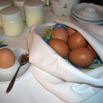 Freiland-Eier